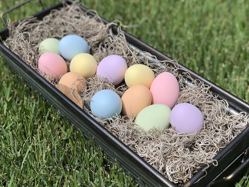 Eggcetera 12-Pack Ceramic Nest Eggs (Pastel)