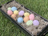 Eggcetera 12-Pack Ceramic Nest Eggs (Pastel)