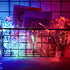 8 120 19.7FT Modes LED Firefly Twinkle Timer String Lights with Remote,Butterfly Curtain Fairy Lights USB Plug