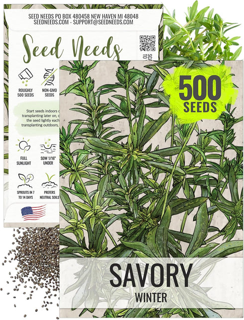 Seed Needs Winter Savory Seeds for Planting - Non-GMO Heirloom & Untreated