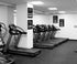 Inspirational Gym & Workout Posters, 11x17" (4) Throwback Traits