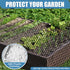 DBHXXMB-HH 15.7in 50ft Plastic Pet & Garden Fence - Black X Roll Multi-Use Decorative Chicken Wire Fencing for Poultry