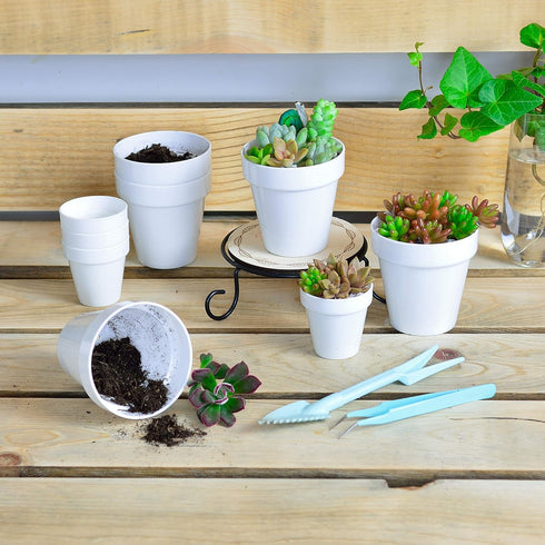 Youngever 10 Pack 3 Inch Mini Plastic Planters - White Gardening Pots with Drainage for House Plants, Flowers, Herbs