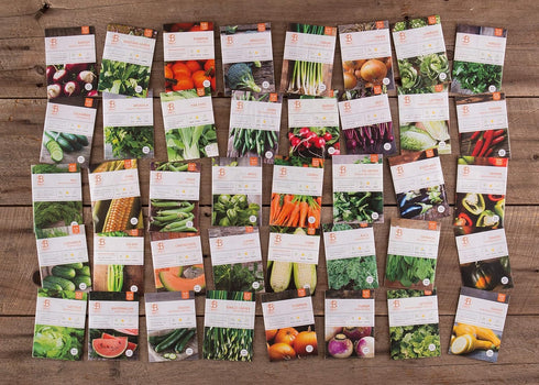 Pack Vegetable and Herb Seeds Variety for Home Garden Planting, AB