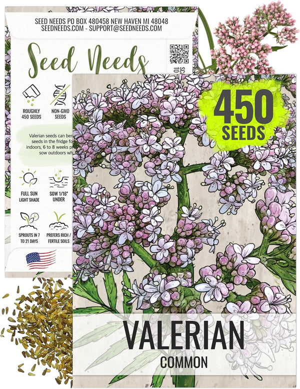Seed Needs Valerian Seeds for Planting Stink Root Plants - Non-GMO Heirloom
