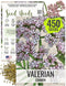Seed Needs Valerian Seeds for Planting Stink Root Plants - Non-GMO Heirloom