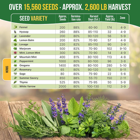 30 Pack 15,560+ Organo Republic Medicinal & Tea Herb Seeds Variety Non-GMO Heirloom Garden Seeds for Indoor & Outdoors
