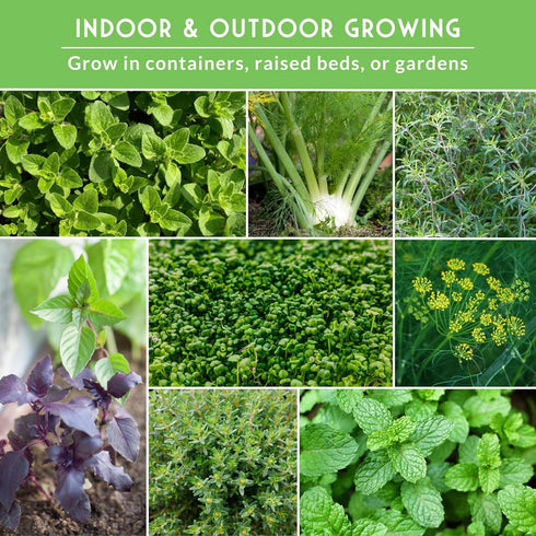 Pack 18 Culinary Herb Seeds Variety for Planting - Grow Heirloom Kitchen Herbs with Basil, Cilantro, Parsley, Dill