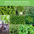 Pack 18 Culinary Herb Seeds Variety for Planting - Grow Heirloom Kitchen Herbs with Basil, Cilantro, Parsley, Dill