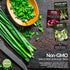 3 Short Day Onion Seeds Variety Collection Red Burgundy, White Grano & Tokyo Long White Bunching Onion Seed