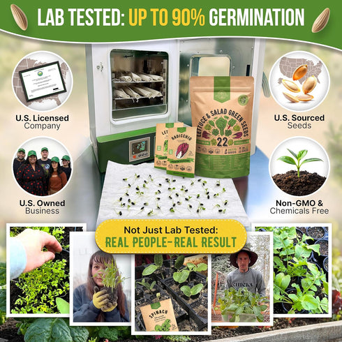 22 Pack 24,700+ 2026 Organo Republic Lettuce & Salad Greens Seeds Variety Non-GMO Heirloom Lettuce Seeds for Indoor