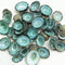 PEPPERLONELY 50PC Green Limpet Shells, Craft Sea Shells, Sizes 1/2 Inch to 1 Inch