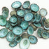 PEPPERLONELY 50PC Green Limpet Shells, Craft Sea Shells, Sizes 1/2 Inch to 1 Inch