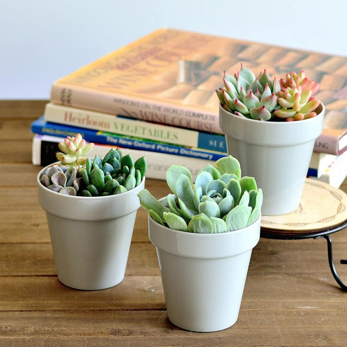 Youngever 24 Pack Mini Plastic Planters - 2 Inch Indoor Flower Pots, Grey Gardening Pot with Drainage