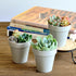 Youngever 10 Pack 3 Inch Mini Plastic Planters - Indoor Flower Pots, Grey Gardening Pots with Drainage for All House