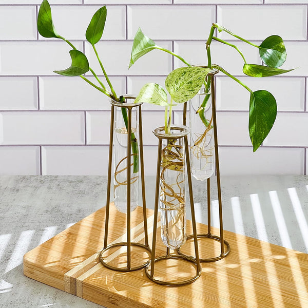 Propagation Station Terrariums with Gold Metal Stand - Kate Aspen 3 Glass