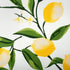 DII Lemon Bliss Tabletop Collection, Napkin Set, 6 Piece