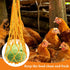 9 PCS Chicken Coop Toys, Chicken Swing Toys for Chickens Xylophone Mirror with Bell Hanging Vegetable Fruits Skewers