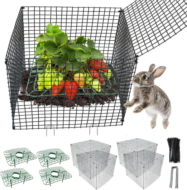 4 Sets Upgraded Strawberry Supports with Wire Plant Protectors from Animal 12x12Inch