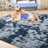 Tepook Soft Fluffy Rugs for Bedroom, 4x6 Area Rug for Living Room, Plush Throw Rug with Non-Slip Bottom