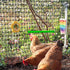 9 Pack 2 1 1 1 2 2 Chicken Toys for Coop Accessories, Chicken Enrichment Toys with Swing, Wood Stand, Xylophone