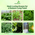 200 Outsidepride New Zealand Spinach Seeds - Pcs. Annual, Humid & Heat-Tolerant, Nutrient-Rich Herb Seeds for Planting