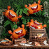 Silipull 5 Set Pcs Sea Animal Balloons Decorative Fish Net Crab Lobster Fish Foil Balloons Ocean Nautical Themed Party