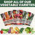 Summer 20 Packs 2026 Garden Seeds | Individual | Season | Non-GMO | Tomatoes, Squash, Melon, Herbs & More! |
