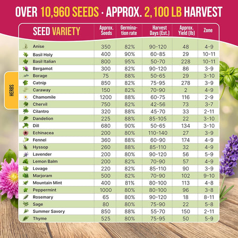 25 Pack 10900+ Organo Republic Medicinal & Tea Herb Seeds Variety for Indoor & Outdoors. Non-GMO Heirloom Garden Seeds: