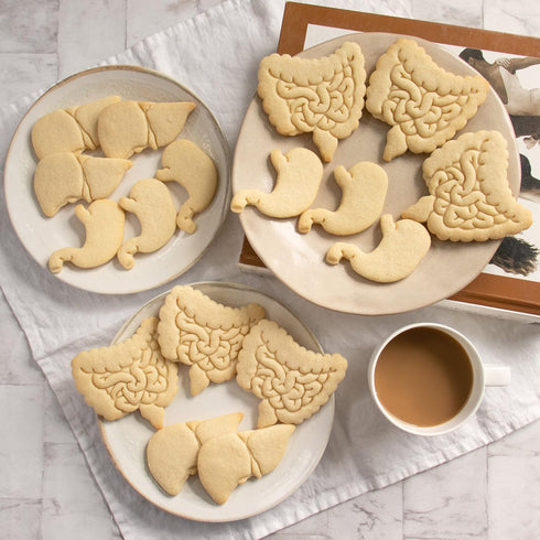 Set of 3 Gastrointestinal Anatomy Cookie Cutters (Intestines, Liver, Stomach) - Bakerlogy