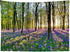 HVEST Forest Sunshine Tapestry, Spring Tapestry Wall Hanging, Nature Landscape Decor for Living Room Bedroom 40L x 60W