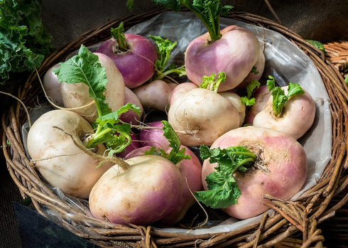 Sunutri Seeds Pack Root Vegetable Seeds Variety Carrot, Radish, Turnip & Parsnip Non-GMO Heirloom Garden Seeds