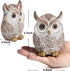 Smadeer Owl Statue and Figurine for Home Decor Accents Adorable Owl for Shelf Bookshelf Bedroom Living Room Office
