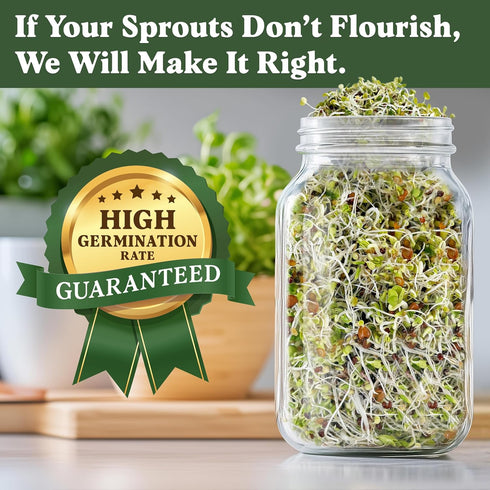 8 oz 8 32 Seedboy Organic Non-GMO Sprouting Seeds, Superfood Blend - USA Grown Microgreens Mix with Broccoli, Radish
