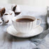 7 oz Set 6, Set BTaT- Cappuccino Cups with Saucers with Gift Box, of White Porcelain Coffee Cup and Saucer for Latte