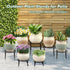 DEELF OUTLET 6-pack 9" Large Metal Plant Stands Indoor Outdoor Rustproof Iron Potted Plant Holder Heavy-duty Round