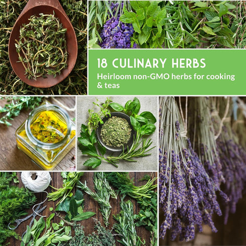 Pack 18 Culinary Herb Seeds Variety for Planting - Grow Heirloom Kitchen Herbs with Basil, Cilantro, Parsley, Dill