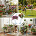 2 Sets J-Fly Pelican Metal Flowers Plant Holders Stand with Coconut Pots, Plants Stand Indoor Flower Pots Outdoor, Room