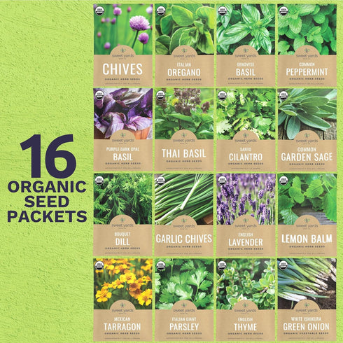 Pack 16 Packs 2026 Organic Herb Seeds Variety - Individual - Season - Basil, Cilantro, Dill, Thyme, Parsley and More!