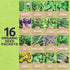 Pack 16 Packs 2026 Organic Herb Seeds Variety - Individual - Season - Basil, Cilantro, Dill, Thyme, Parsley and More!