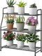 Simple Trending Plant Stand Outdoor Indoor 3 Tier Metal Waterproof Plant Shelf