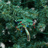 C&F Home Palm Tree with Christmas Lights Beach Coastal Ornament, Green