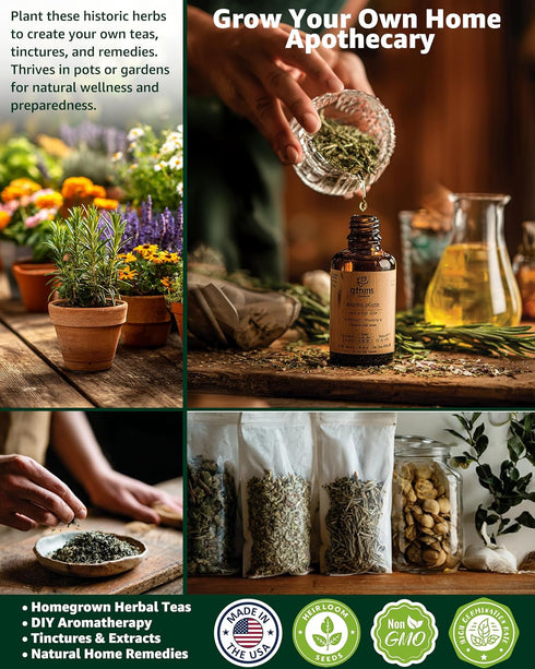 35 Pack Medicinal & Tea Herb Seeds for Planting - Non-GMO Heirloom Variety for Indoor/Outdoor Garden: Anise, Bergamot