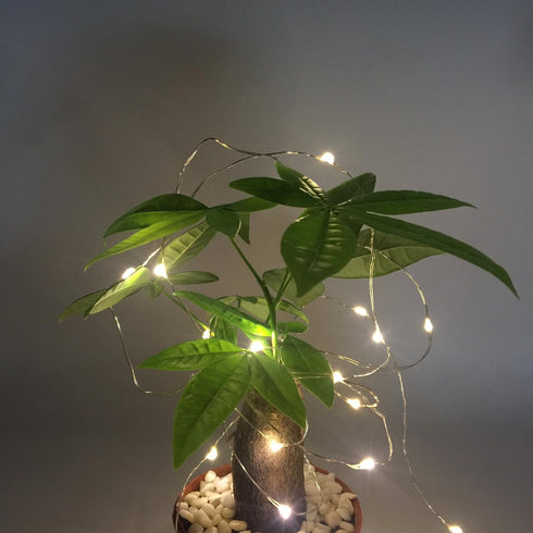 Luna Gift Pack 2 Decorations,50 Count Leds,18FT Indoor Battery-operated Led String Lights with Timer,Mini Leds Fairy