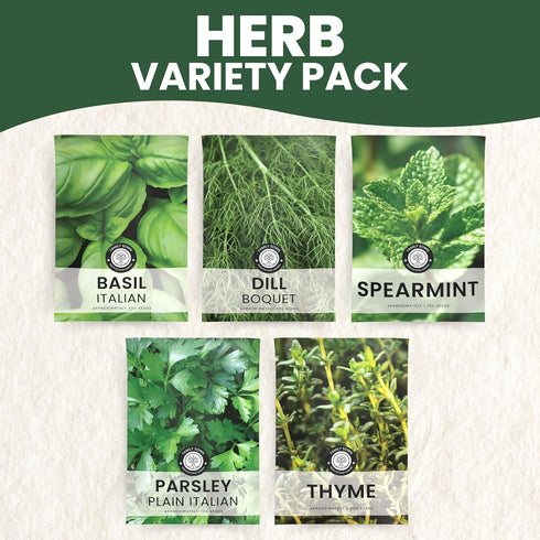 5 Packs 2026 Herb Seeds | Invidiual | Season | Non-GMO | Basil, Dill, Spearmint, Parsley & Thyme! | for Planting Indoor