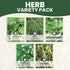 5 Packs 2026 Herb Seeds | Invidiual | Season | Non-GMO | Basil, Dill, Spearmint, Parsley & Thyme! | for Planting Indoor