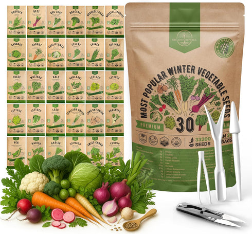 Organo Republic 30 Most Popular Winter Vegetable Garden Seeds Variety Pack- Outdoors/Indoor
