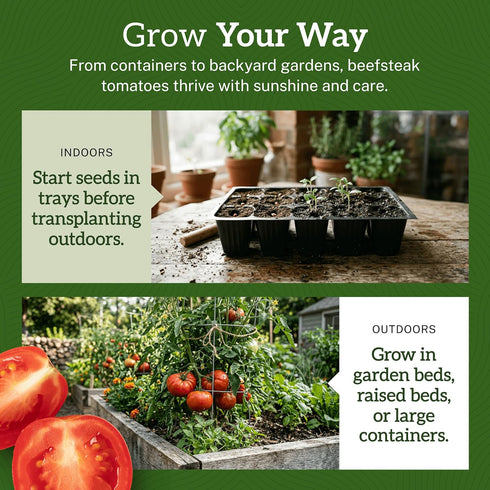 75+ TKE Farms & Gardens - Beefsteak Tomato Seeds for Planting, Heirloom Non-GMO Variety, Grow Large Juicy Slicing