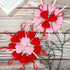 24 Pack Felt Heart Ornaments, Pink & Red Hanging Decorations for Christmas & Valentine's Day