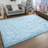 4x6 Ultra Soft Fluffy Rugs for Bedroom Feet, Shag Area Rugs for Living Room, Large Comfy Furry Rug for Boys Kids Baby